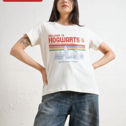Welcome to Hogwarts Draco Dormiens Nunquam Titillandus Tee School of and Wizardry Harry Potter Fan Gift