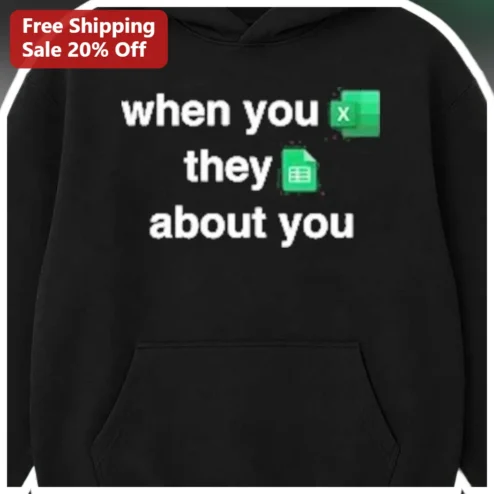 When You Excel Icon They CSV Icon About You Hoodie Data Analyst Humor Gift
