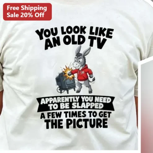 You Look Like An Old TV Funny Sarcastic Tee Slapped To Get The Picture Graphic Shirt
