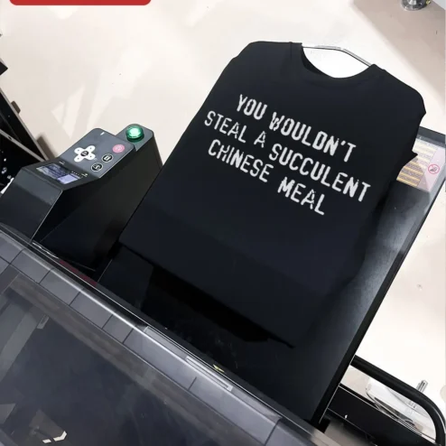 Close-up of You Wouldn't Steal A Succulent Chinese Meal Tee Funny Meme Quote Shirt Viral TikTok Audio Gift for streetwear fans in Chicago, Illinois